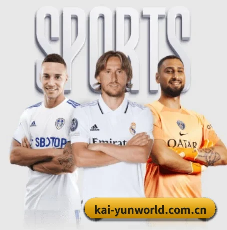 五大服务分区,信息按项目分类
