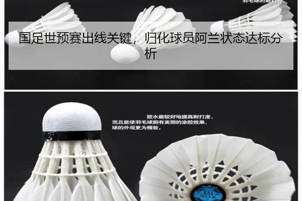 国足世预赛出线关键，归化球员阿兰状态达标分析